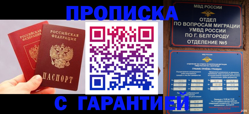 прописка 2025 в Соколе